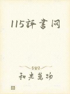 115评书网