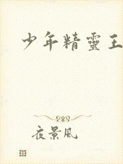 少年精灵王