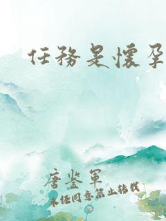 任务是怀孕系统