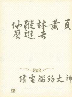 仙踪林黄页网怎么进去