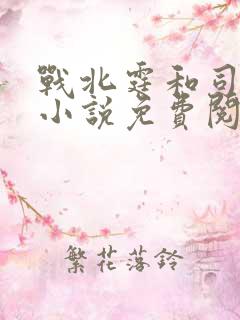 战北霆和司情的小说免费阅读