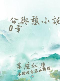 公与憩小说400章