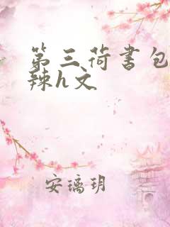 第三荷书包网高辣h文