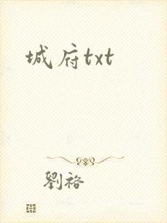 城府txt