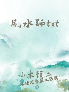 风水师txt