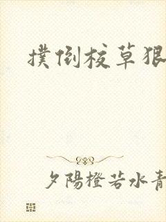 扑倒校草狠狠亲