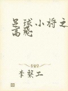 足球小将之展翅高飞