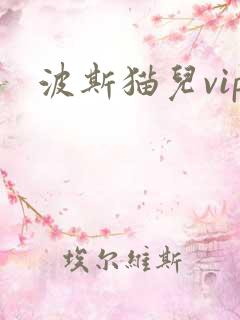 波斯猫儿vip