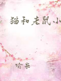 猫和老鼠小说