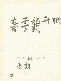 太子妃升职记迅雷下载