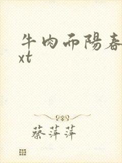 牛肉面阳春面txt
