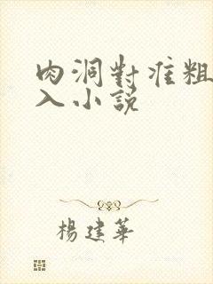 肉洞对准粗大坐入小说