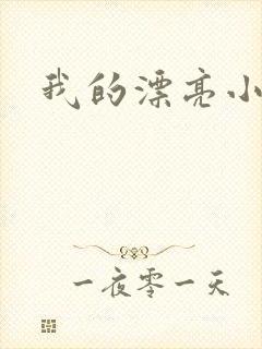 我的漂亮小后妈