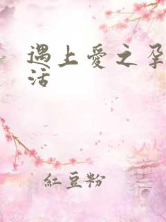 遇上爱之孕夫生活