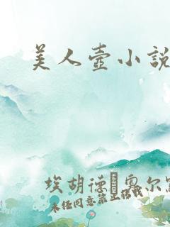 美人壶小说