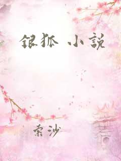 银狐 小说