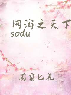 网游之天下无双sodu