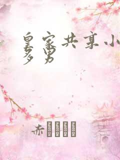 皇家共享小公主多男