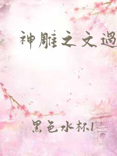 神雕之文过饰非