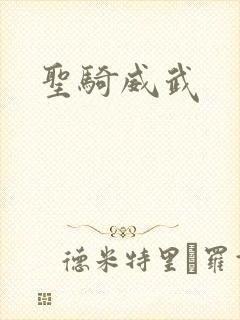圣骑威武