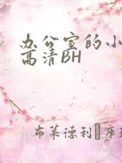 办公室的小秘书高清BH