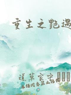 重生之艳遇传说
