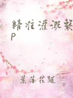 精准灌溉系统hp