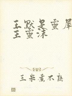 王默是灵犀阁公主灵沫