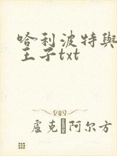 哈利波特与混血王子txt