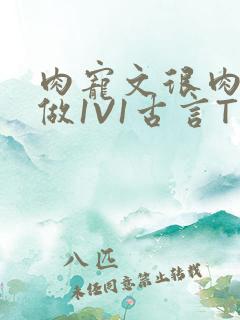 肉宠文很肉到处做1V1古言T