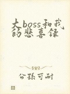 大boss和我的悲喜录