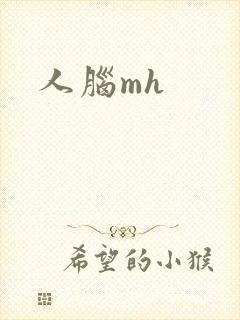 人脑mh
