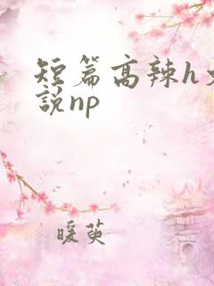 短篇高辣h文小说np