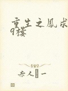 重生之凤求凰19楼