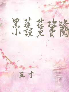 黑莲花攻略手册小说免费阅读