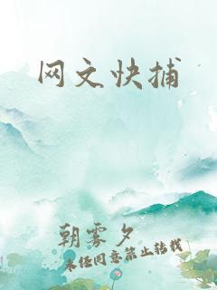 网文快捕
