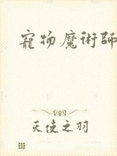 宠物魔术师下载