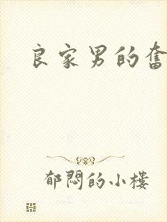 良家男的奋斗史