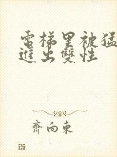 电梯里被猛烈的进出双性