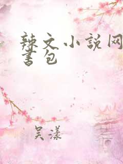 辣文小说网第二书包