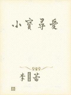 小宝寻爱