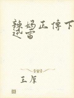 辣妈正传下载 迅雷