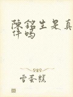 陈铭生是真实事件吗