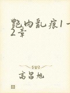 艳肉乱痕1一12章