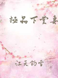 极品下堂妻