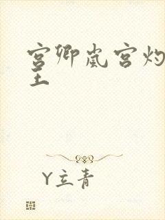 宫卿岚宫灼摄政王