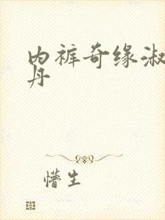 内裤奇缘淑芬小丹