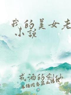 我的美女老婆们 小说