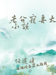 老公宠妻太甜蜜 小说