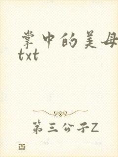 掌中的美母版主txt